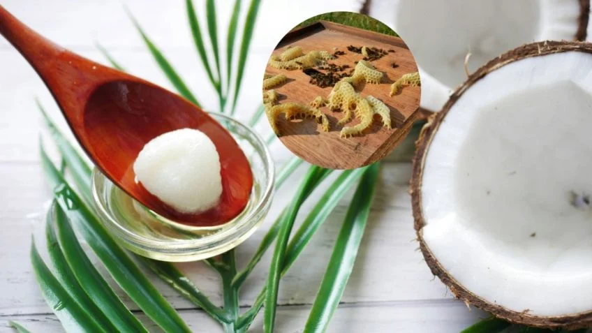 Mezcla de ceras para potenciar el aroma