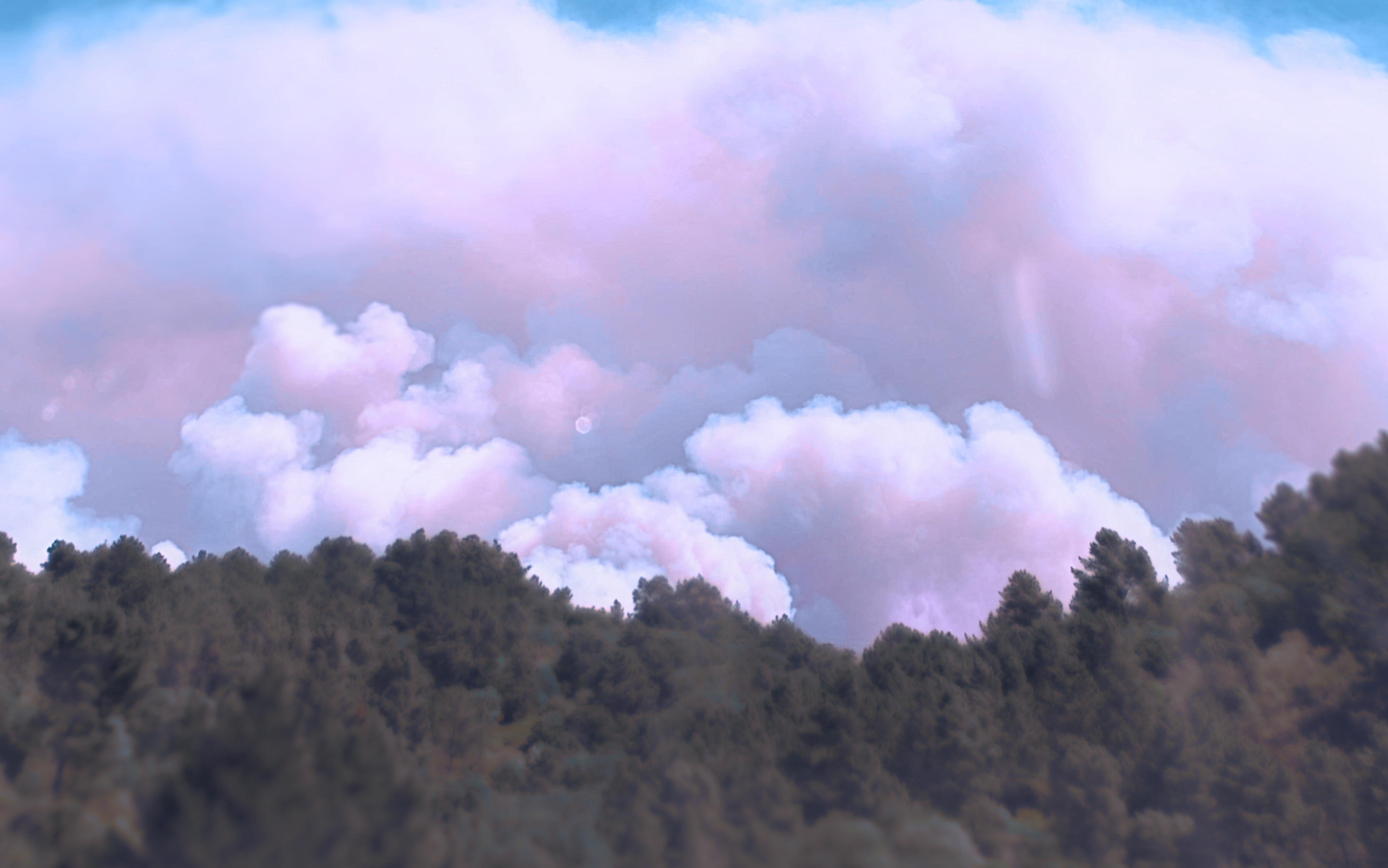 Después del incendio