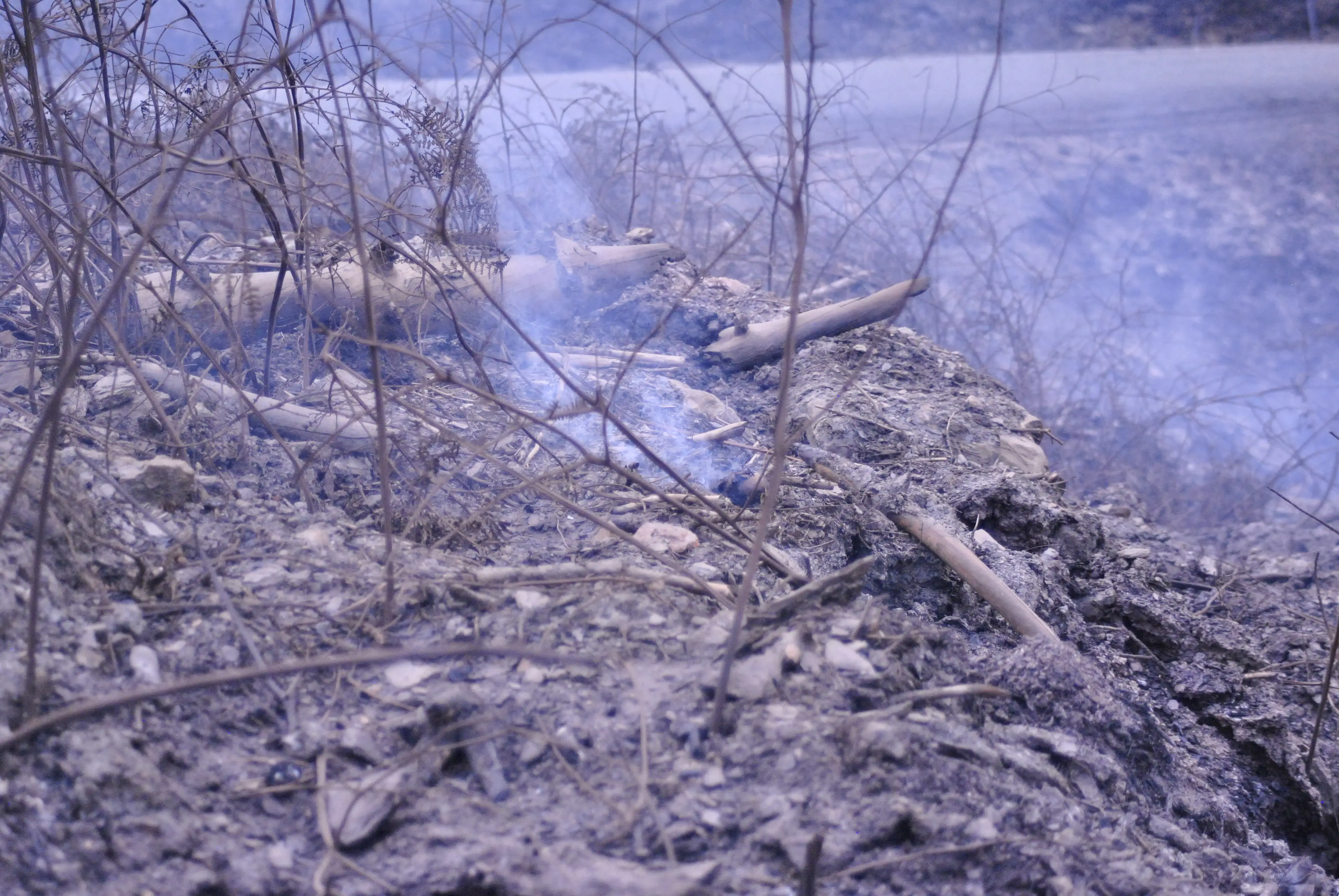 Después del incendio